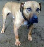 splash747's Avatar splash747's Avatar