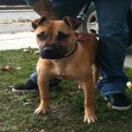 ponchday's Avatar ponchday's Avatar