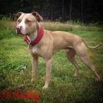 TrailerTrash's Avatar TrailerTrash's Avatar