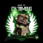 unknow kennel's Avatar unknow kennel's Avatar