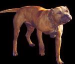 waccamaw's Avatar waccamaw's Avatar